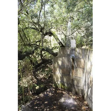Dom wakacyjny Elbadamare - Casa Bosco Capoliveri (Isola d'Elba)