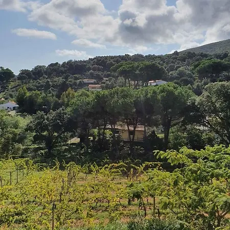 Elbadamare - Casa Bosco