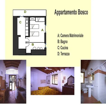 Elbadamare - Casa Bosco Capoliveri (Isola d'Elba)